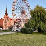 Gael Stary Rynek 1