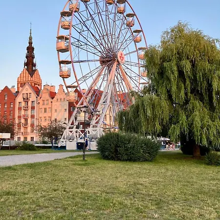 Gael Stary Rynek 1